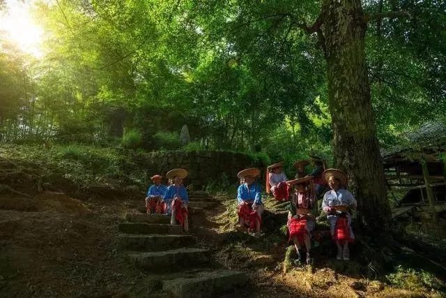 张家界除了天门山还有哪里好玩,去湖南是去张家界还是凤凰