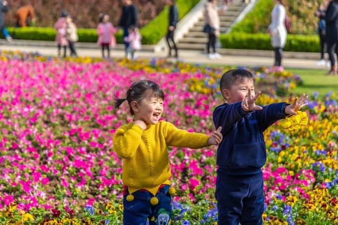 花博园滁州风景,滁州花博园公园美景