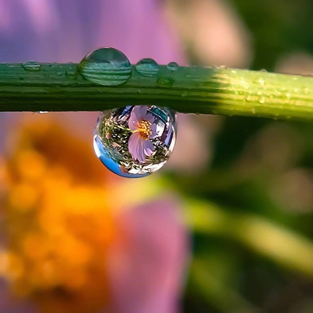 情感咨询｜栗子姐每日情感问答（0506）