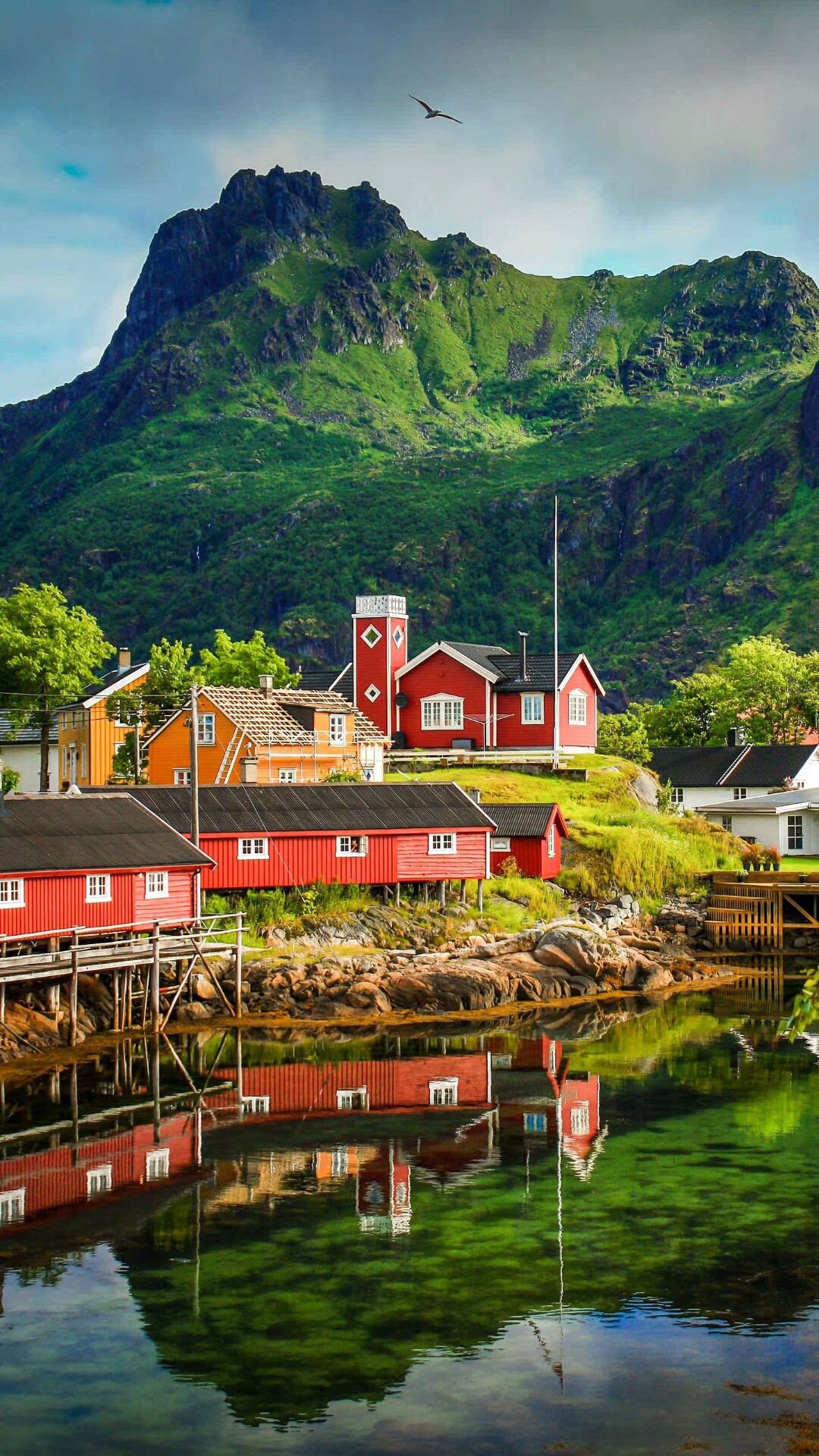 包君成小学语文作文范文,小学语文作文范文摘抄通用70篇