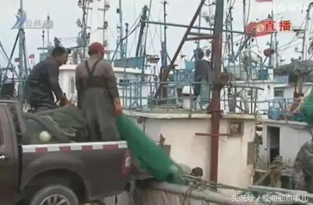 威海封海海鲜,威海封海时间禁止卖哪些海鲜