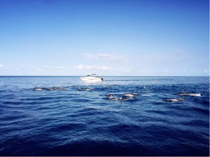 毛里求斯天堂原乡完整版,天堂毛里求斯深度解析