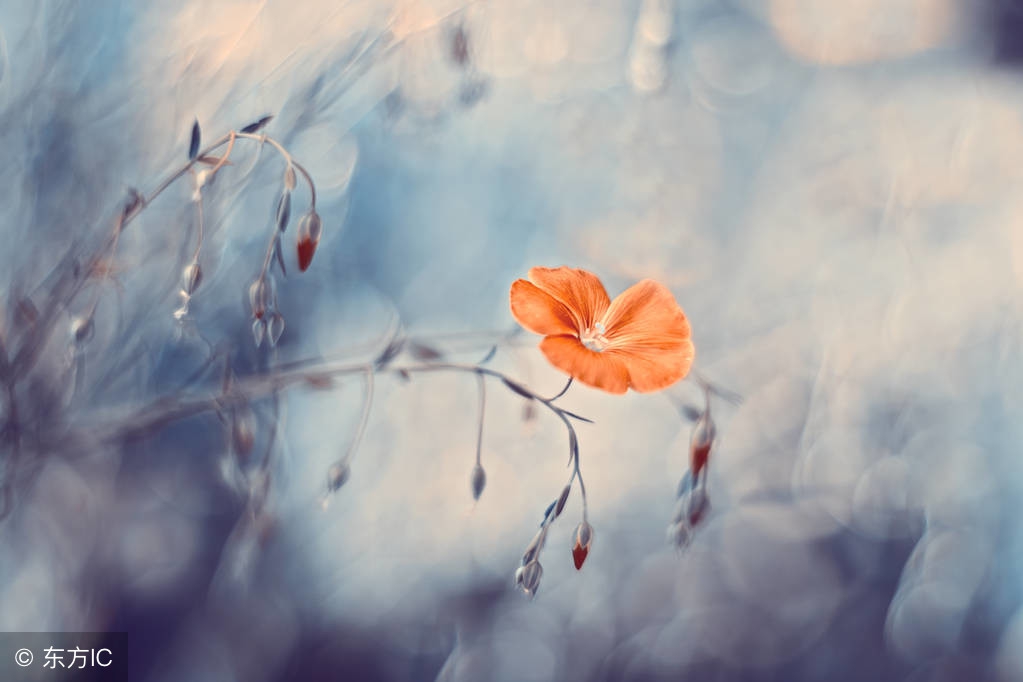 什么样的理财是正确的简单好学,怎样知道自己的理财亏了还是赚了