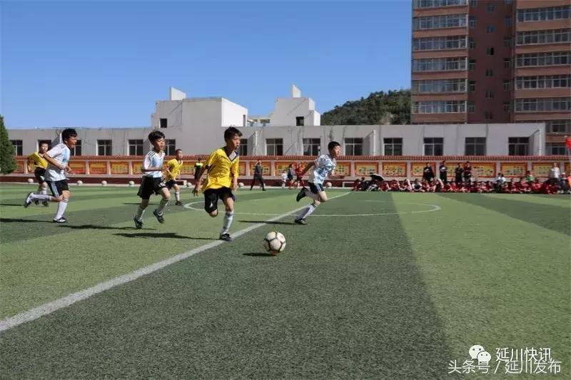 绿茵少年足球联赛,绿茵场上的足球少年