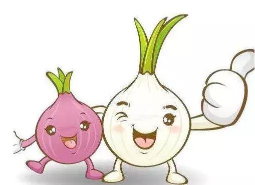 西昌20万吨洋葱在等待,与政府一起发力,别让洋葱相信眼泪!