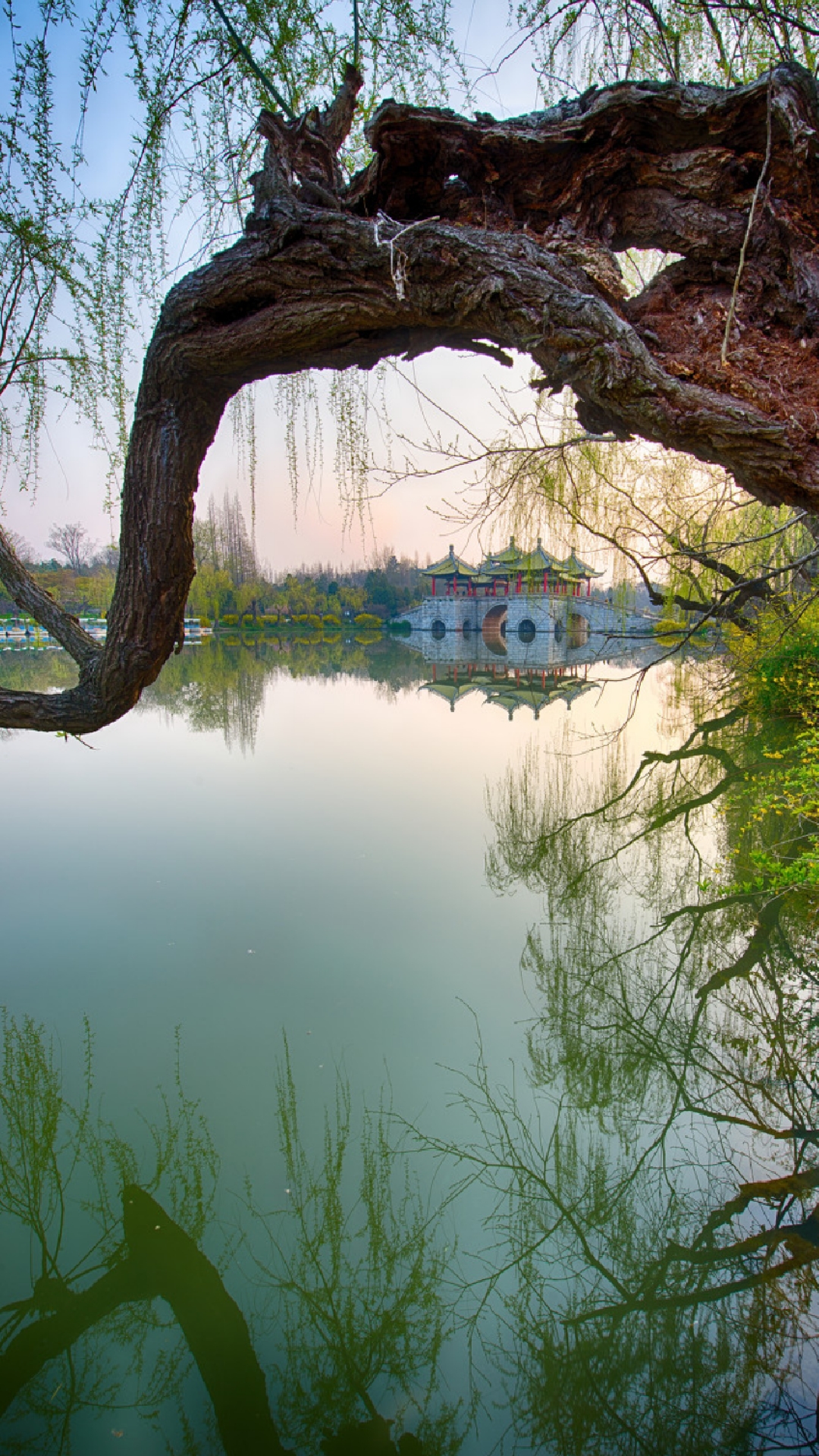 塞尔达传说旷野之息精美手机壁纸,王鸥精美手机壁纸