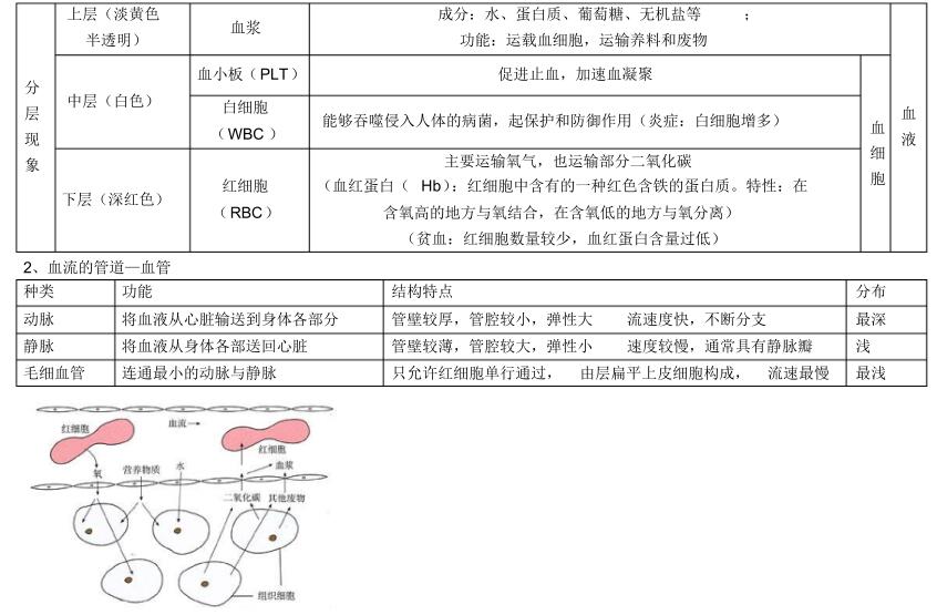 2018中考生物知识点总结（图文并茂），喜欢的朋友记得收藏或转发