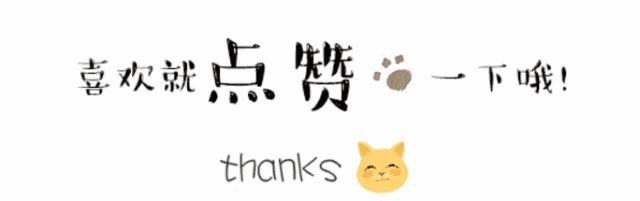 雨花人，注意！这个路口将全面抓拍不礼让斑马线