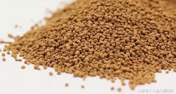 新手养肉肉最好用什么土,新手养肉配土