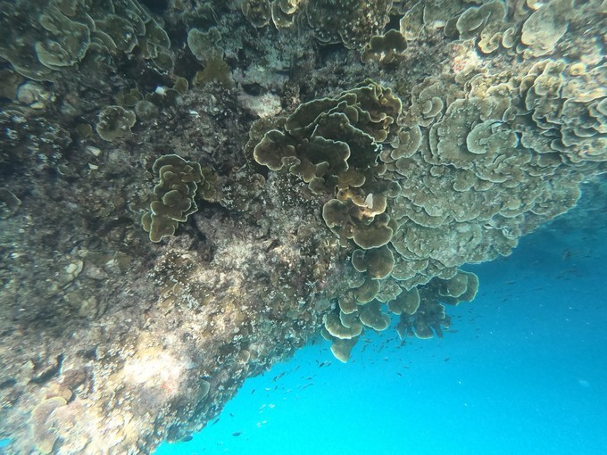 帕劳的海景风光给人美的享受,帕劳的海洋和沙滩风景图片