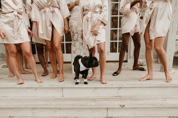 维密天使秀白色小翅膀,维密天使丝绸之路