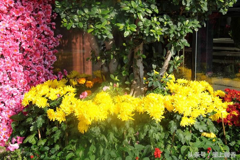 怡人的景色视频,怡人的风景美景