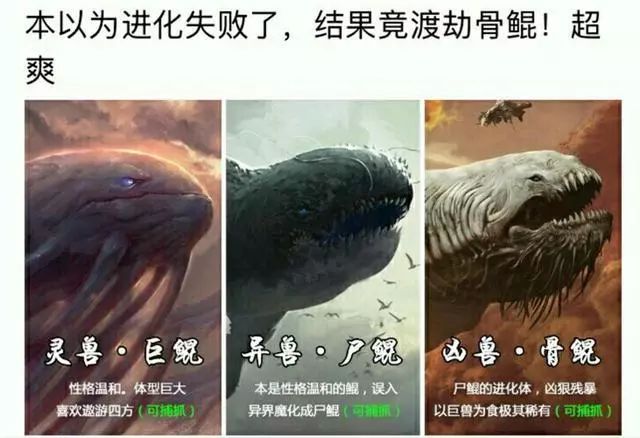 全民养鲲游戏,养鲲游戏手游