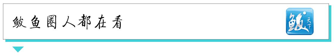 老了那又怎么样,老了又怎样韵味十足