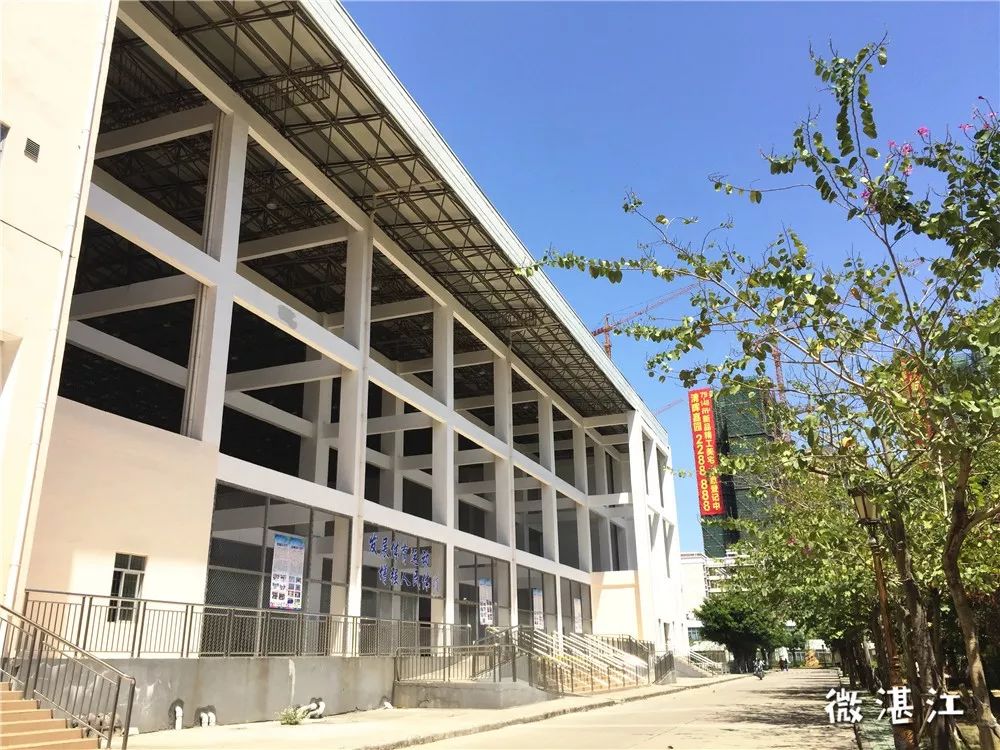 谢谢你二年级,谢谢你雷州话