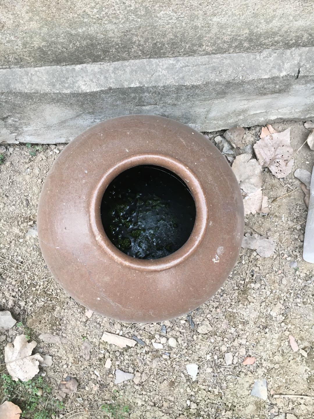 邳州土山镇大事件,邳州发生什么大事