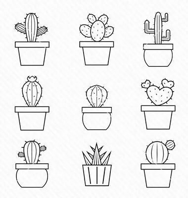 有了画画模板该怎么画,新手比较适合的画画教程