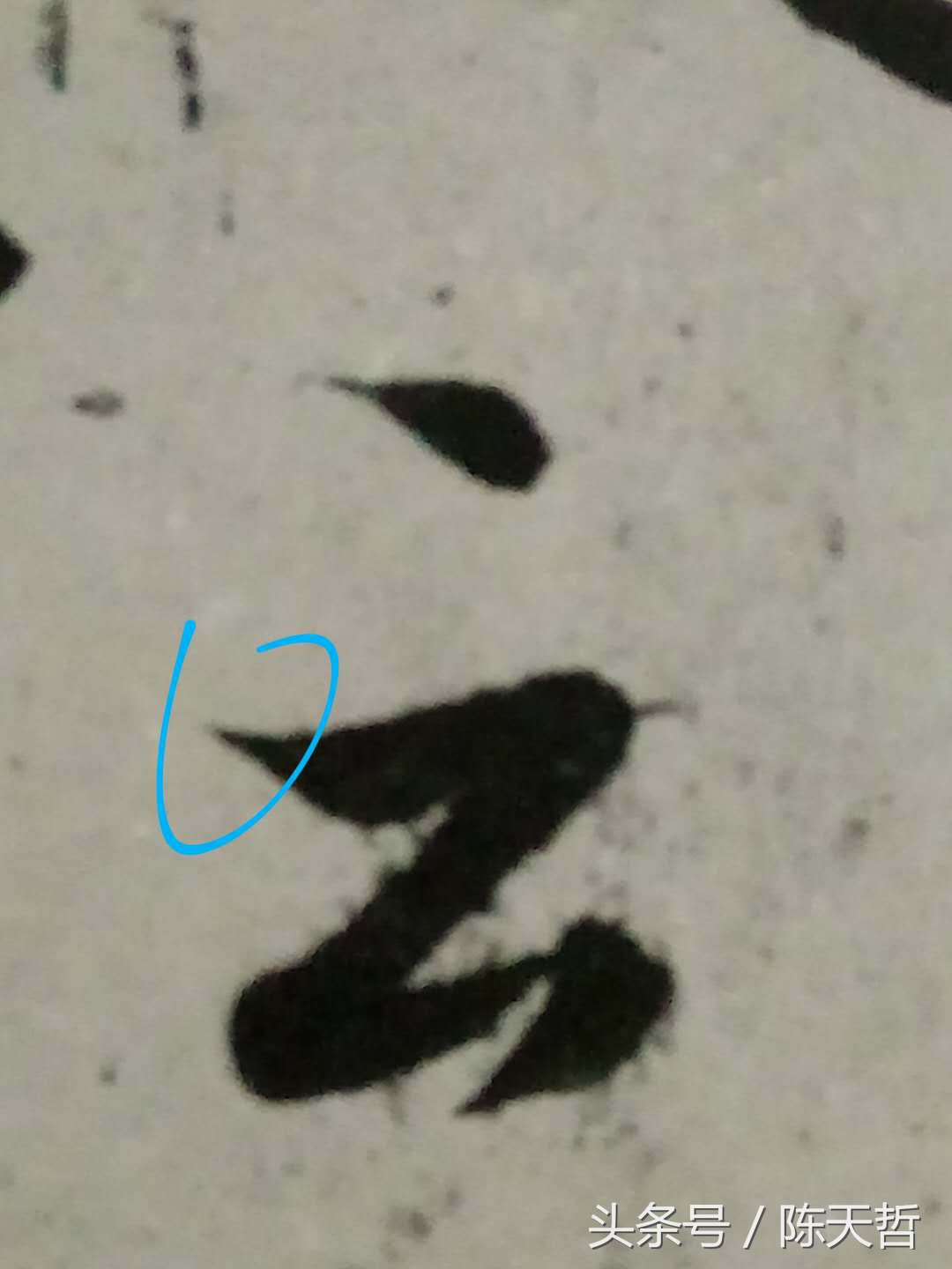 赵孟頫历代名家小楷珍品,赵孟頫最好手札高清欣赏