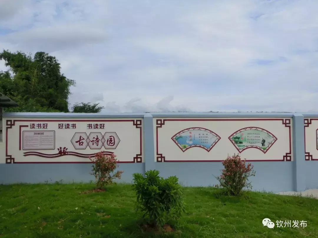 网眼看视界,网眼看钦南