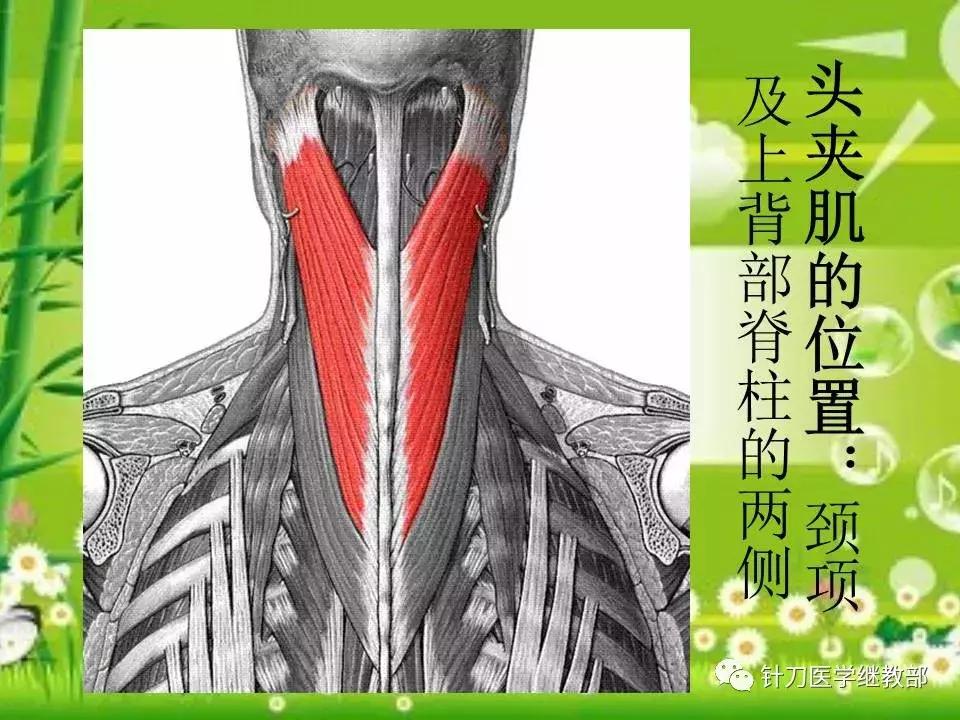 颈椎肌肉损伤用小针刀治疗,针刀治疗颈椎导致神经损伤