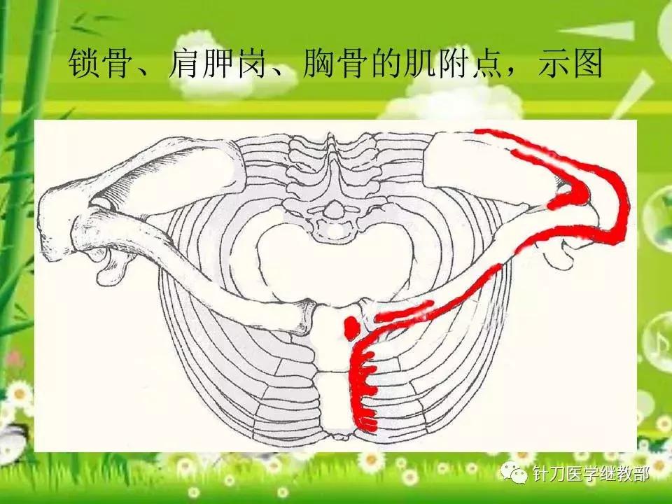 颈椎肌肉损伤用小针刀治疗,针刀治疗颈椎导致神经损伤