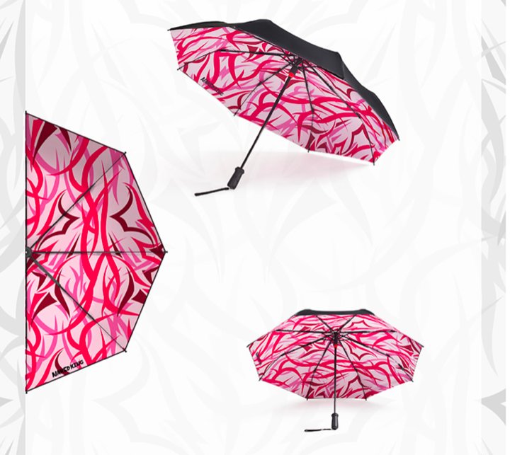 想要一把可以遮风挡雨的伞,拥有一把伞挡风又挡雨