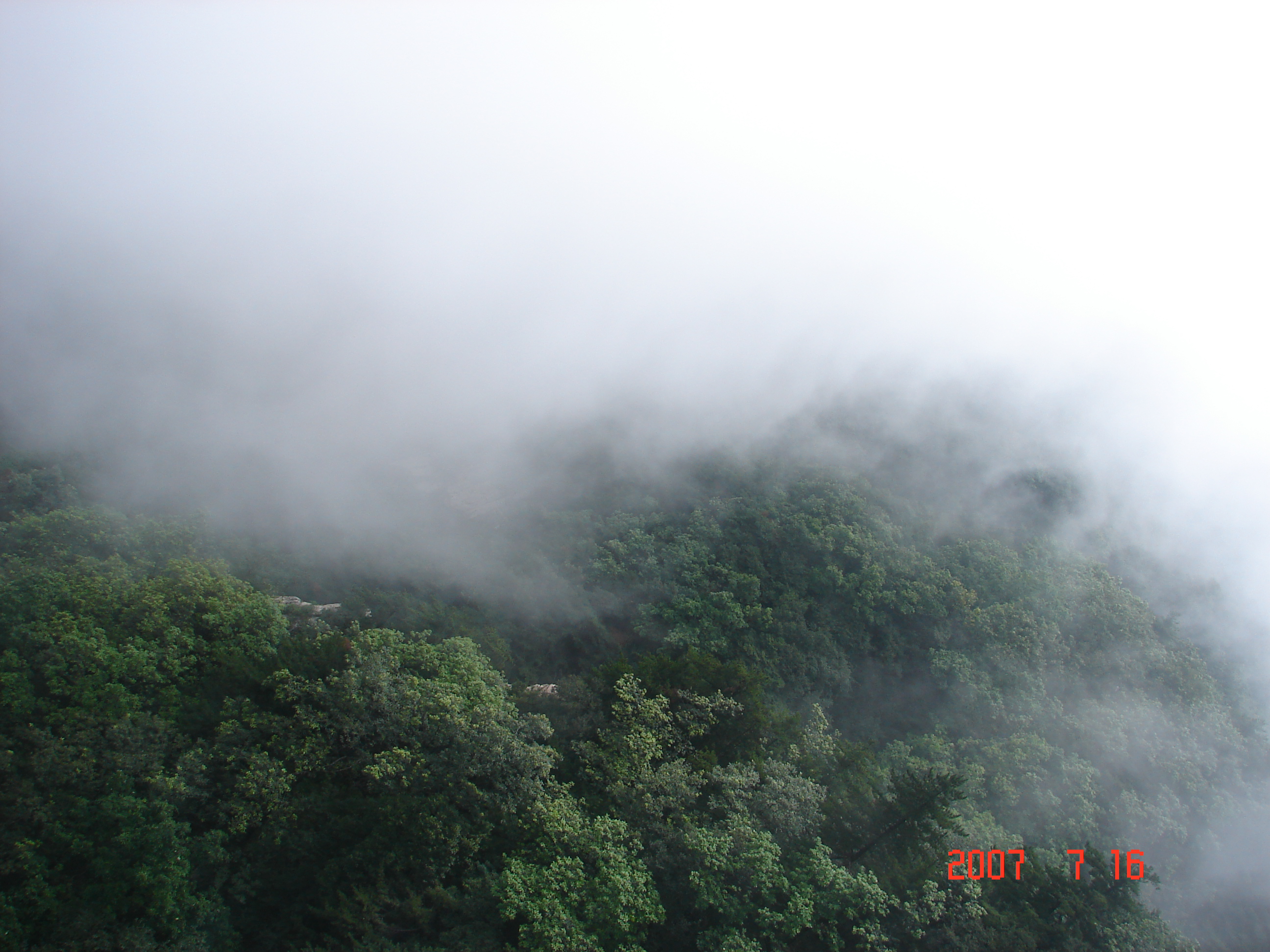 5a嵩县,5a嵩县县城