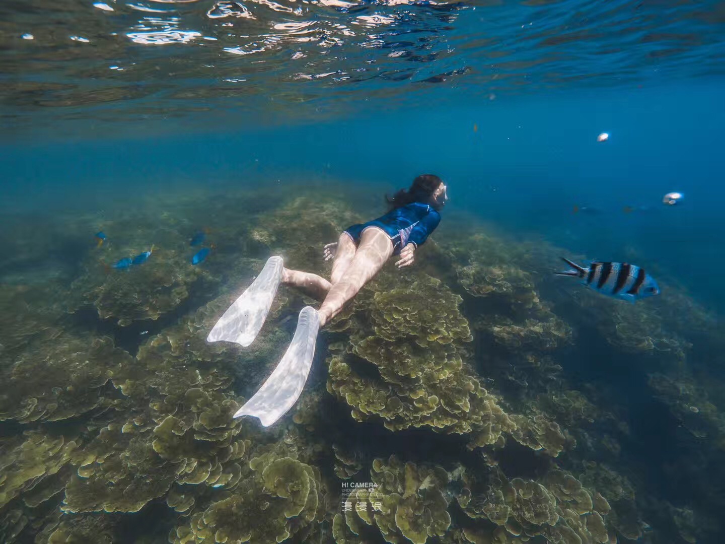 去帕劳玩是什么感觉,帕劳可以潜水吗