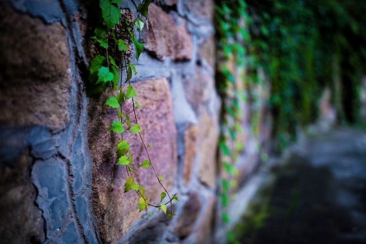 佳能新款全画幅专业微单eosr,佳能全画幅微单eosr5