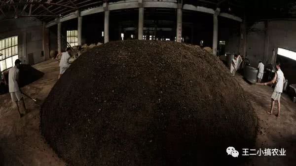 利用秸秆栽培食用菌,枯草芽孢杆菌发酵猪粪技术