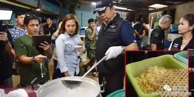 “我们只骗中国人,他们人傻钱多”,国外商家专坑中国人被曝光!