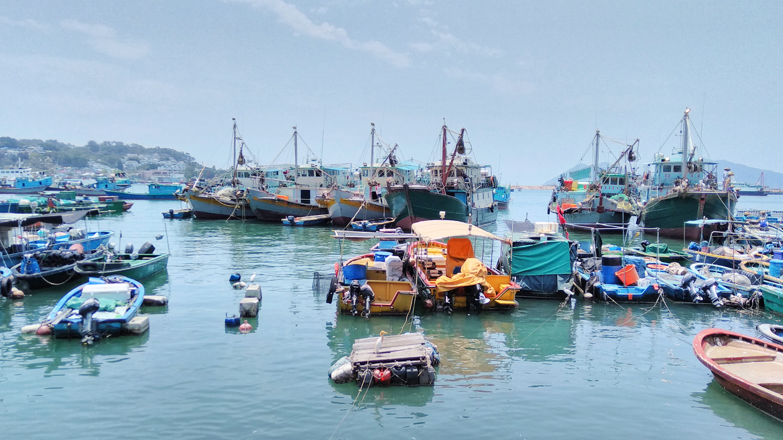 带零食去香港澳门,带着坚果去旅行