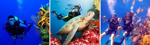 巴厘岛通关攻略,逃离巴厘岛攻略