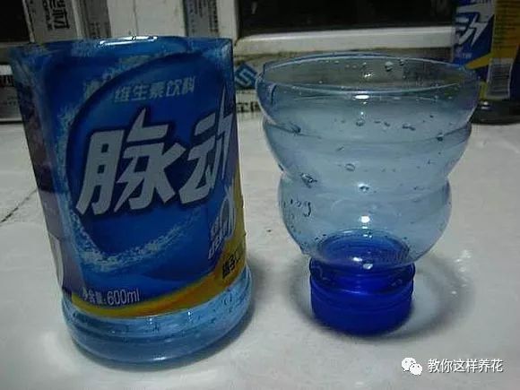 塑料瓶自制免浇水的花盆方法,自吸水免浇水懒人花盆