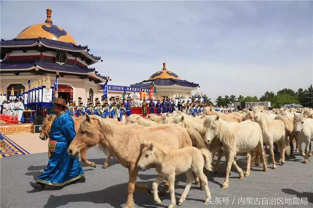 非物质文化遗产展图片,国家级非遗现场有多震撼