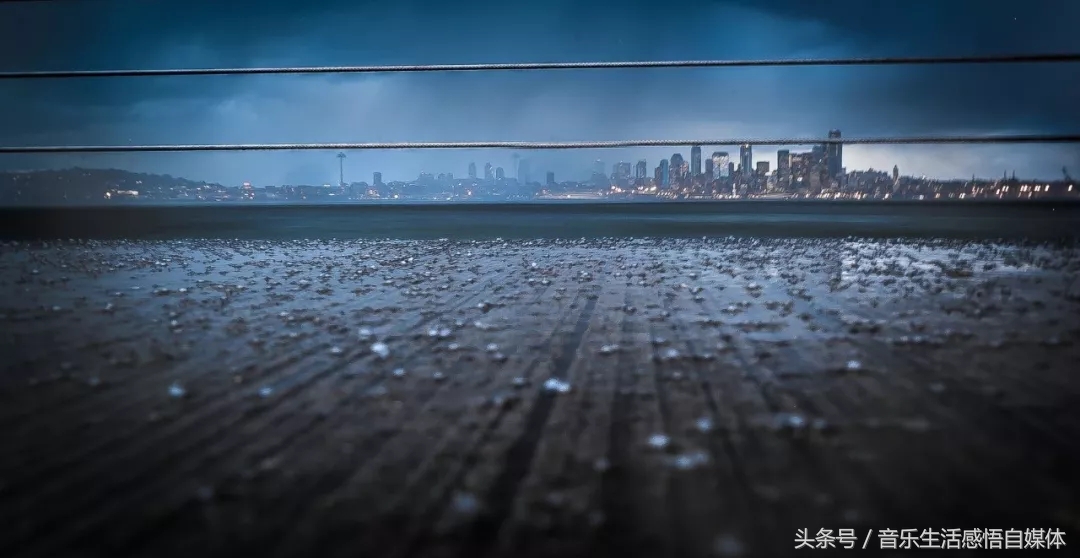 洋韭菜和土韭菜,喜欢吃韭菜的老韭菜