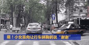 董卿跪,董卿下跪的节目