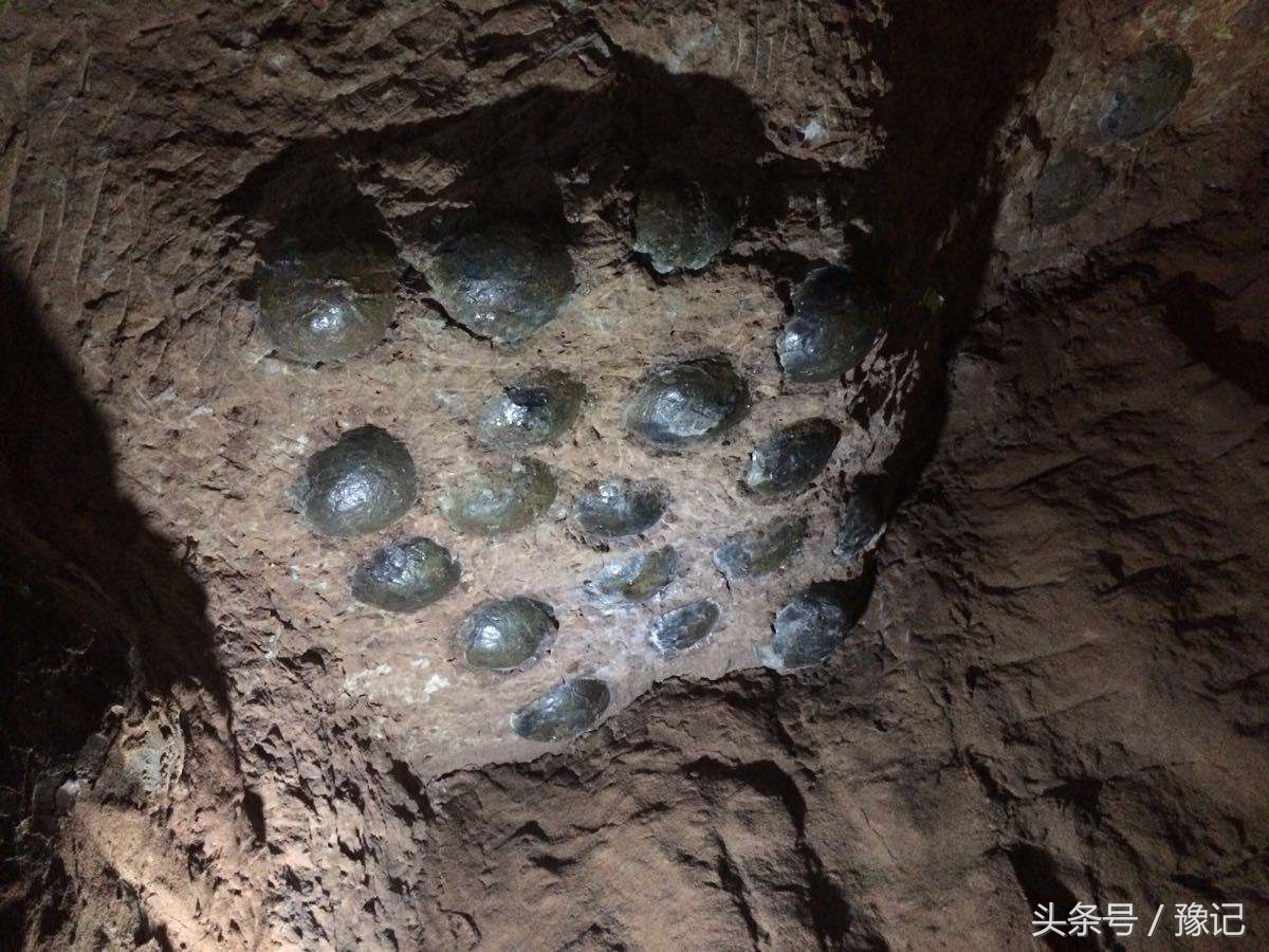 河南省十大研学旅行精品线路,河南研学旅行哪家好