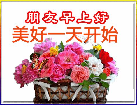 早上好鲜花带字表情包图片,早上好鲜花图片动态表情