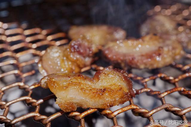 真正的肉食主义,肉食主义都有哪些