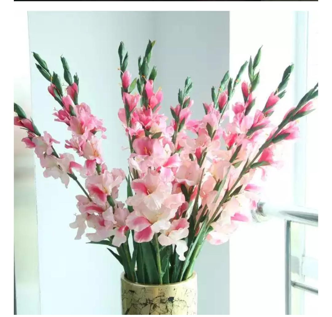 除了康乃馨母亲节还能送什么礼物,母亲节送康乃馨每个颜色代表什么