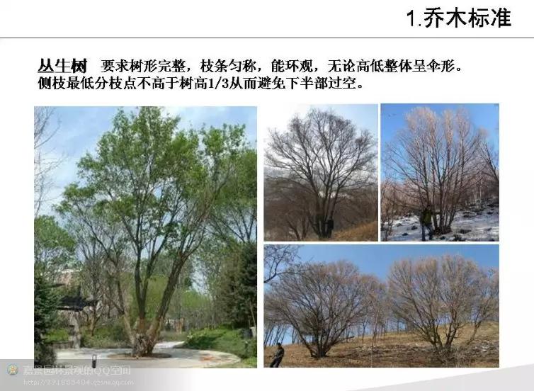 园林工程造价全套视频教程,园林工程预算及造价清单