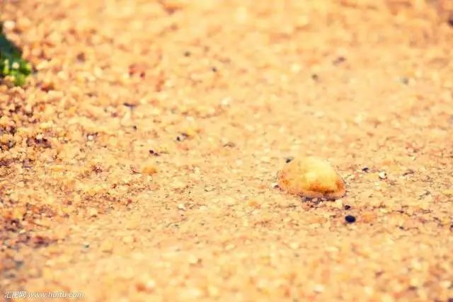 美国习惯用语丨dropaball……