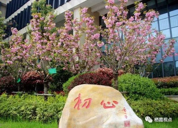 南京栖霞区有哪些好学校,栖霞区哪个学校最好