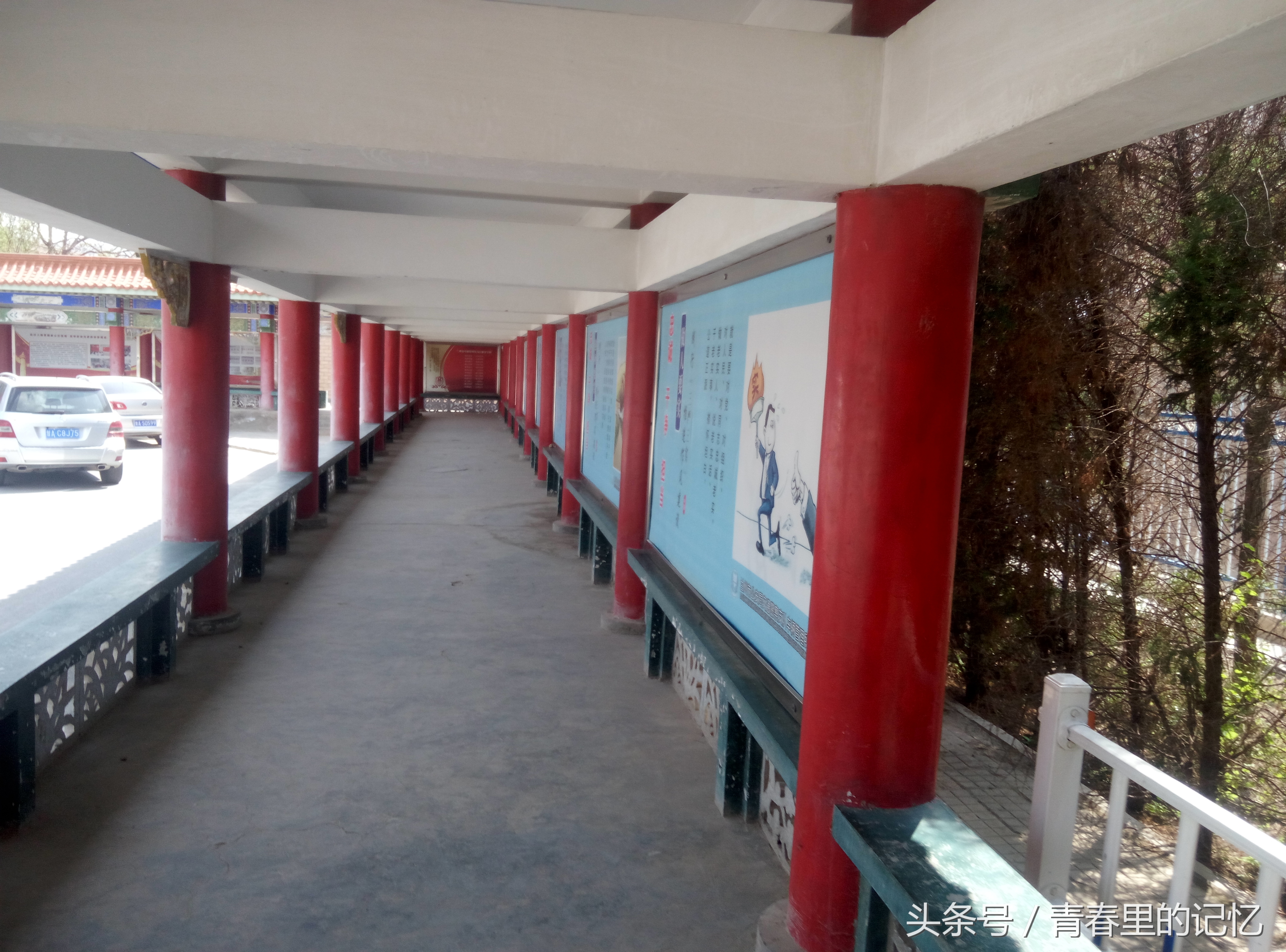 报考驾校需要了解什么,报考驾校之前要注意什么