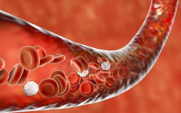 产后中度贫血吃什么补血最快,产后贫血症状吃什么药不影响母乳