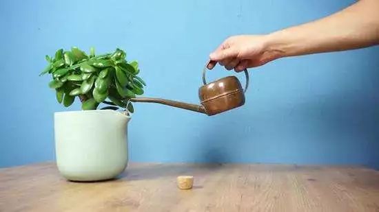 这些家居用品创意满分,创意又好用的家居物品