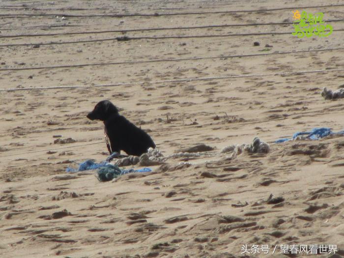 手绘旅行,东山岛旅游手绘游记