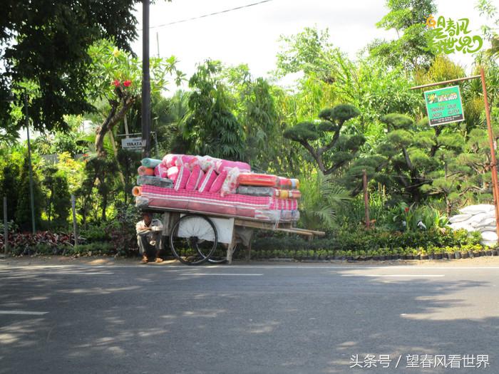 手绘旅行,东山岛旅游手绘游记