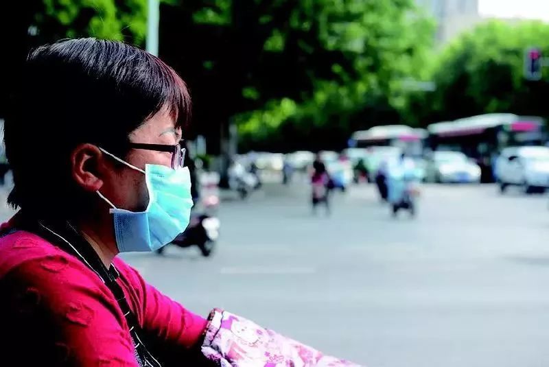 飞絮这么烦人能砍掉它们吗,襄阳市柳絮